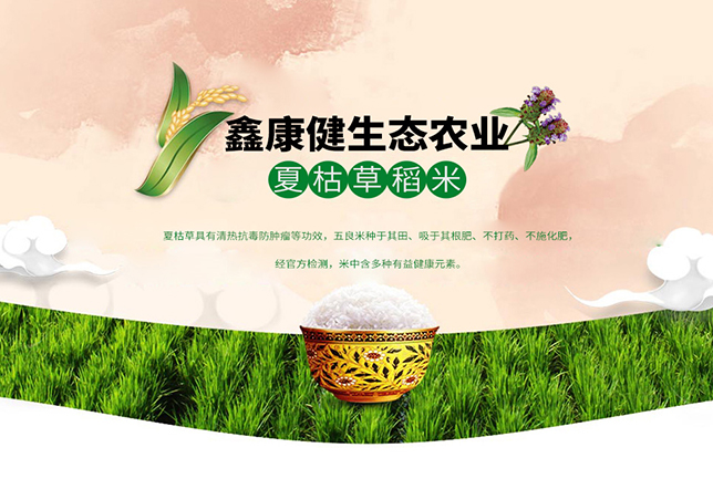 江西鑫康健生態(tài)農(nóng)業(yè)開(kāi)發(fā)有限公司