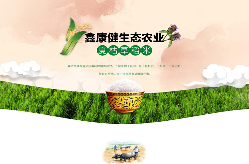 江西鑫康健生態(tài)農(nóng)業(yè)開(kāi)發(fā)有限公司